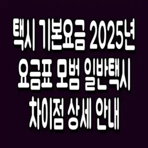 택시 기본요금 2025년 요금표 모범 일반택시 차이점 상세 안내