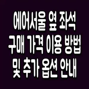 에어서울 옆 좌석 구매 가격 이용 방법 및 추가 옵션 안내