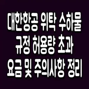 대한항공 위탁 수하물 규정 허용량 초과 요금 및 주의사항 정리