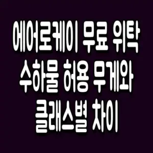 에어로케이 무료 위탁 수하물 허용 무게와 클래스별 차이