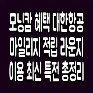 모닝캄 혜택 대한항공 마일리지 적립 라운지 이용 최신 특전 총정리