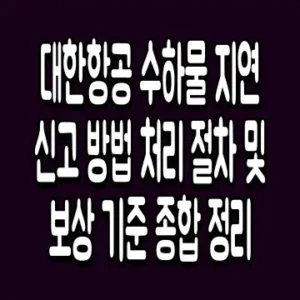 대한항공 수하물 지연 신고 방법 처리 절차 및 보상 기준 종합 정리