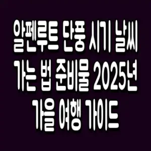 알펜루트 단풍 시기 날씨 가는 법 준비물 2025년 가을 여행 가이드