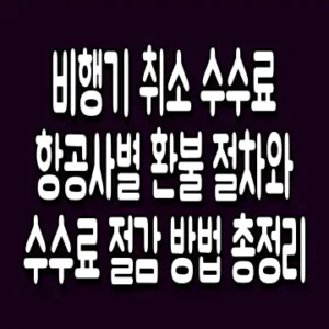 비행기 취소 수수료 항공사별 환불 절차와 수수료 절감 방법 총정리