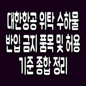 대한항공 위탁 수하물 반입 금지 품목 및 허용 기준 종합 정리