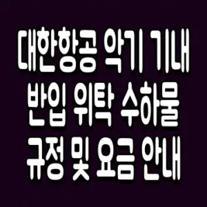 대한항공 악기 기내 반입 위탁 수하물 규정 및 요금 안내