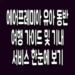 에어프레미아 유아 동반 여행 가이드 및 기내 서비스 한눈에 보기