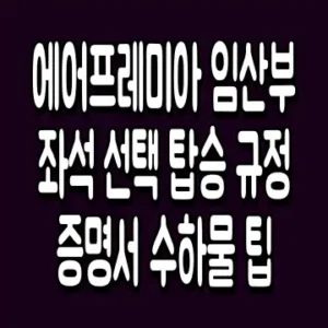 에어프레미아 임산부 좌석 선택 탑승 규정 증명서 수하물 팁