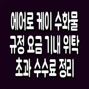 에어로 케이 수화물 규정 요금 기내 위탁 초과 수수료 정리