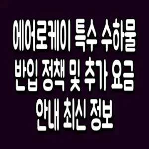 에어로케이 특수 수하물 반입 정책 및 추가 요금 안내 최신 정보