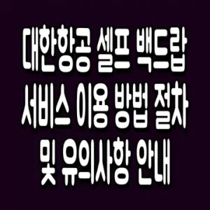대한항공 셀프 백드랍 서비스 이용 방법 절차 및 유의사항 안내