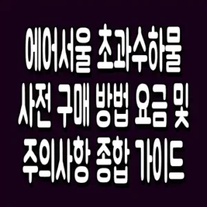 에어서울 초과수하물 사전 구매 방법 요금 및 주의사항 종합 가이드