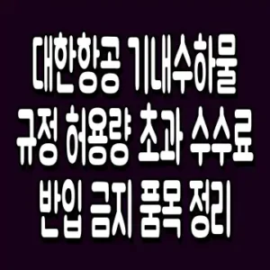 대한항공 기내수하물 규정 허용량 초과 수수료 반입 금지 품목 정리