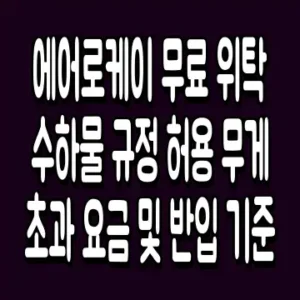 에어로케이 무료 위탁 수하물 규정 허용 무게 초과 요금 및 반입 기준