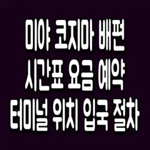 미야 코지마 배편 시간표 요금 예약 터미널 위치 입국 절차