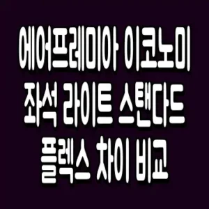 에어프레미아 이코노미 좌석 라이트 스탠다드 플렉스 차이 비교