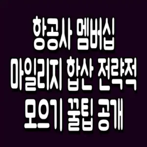 항공사 멤버십 마일리지 합산 전략적 모으기 꿀팁 공개