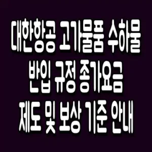 대한항공 고가물품 수하물 반입 규정 종가요금 제도 및 보상 기준 안내