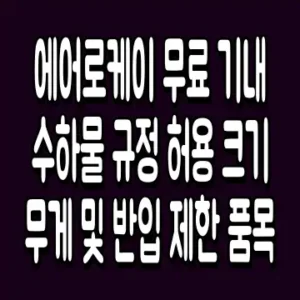 에어로케이 무료 기내 수하물 규정 허용 크기 무게 및 반입 제한 품목