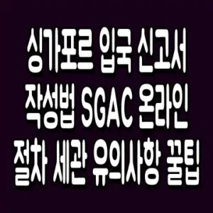 싱가포르 입국 신고서 작성법 SGAC 온라인 절차 세관 유의사항 꿀팁