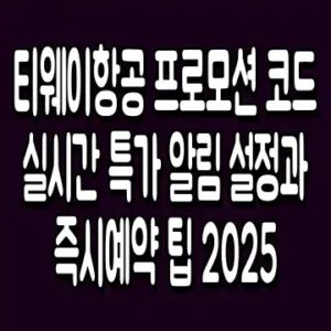 티웨이항공 프로모션 코드 실시간 특가 알림 설정과 즉시예약 팁 2025