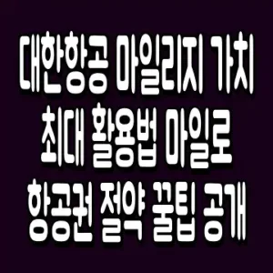대한항공 마일리지 가치 최대 활용법 마일로 항공권 절약 꿀팁 공개