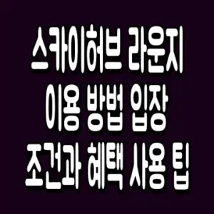 스카이허브 라운지 이용 방법 입장 조건과 혜택 사용 팁