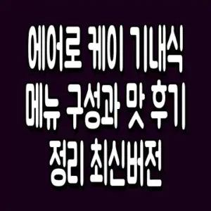 에어로 케이 기내식 메뉴 구성과 맛 후기 정리 최신버전