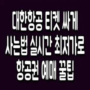 대한항공 티켓 싸게 사는법 실시간 최저가로 항공권 예매 꿀팁