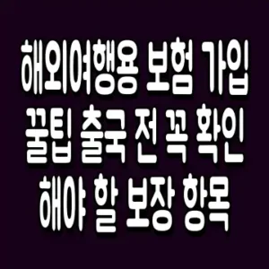 해외여행용 보험 가입 꿀팁 출국 전 꼭 확인해야 할 보장 항목