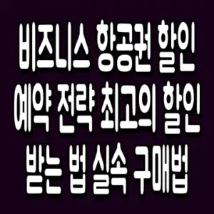 비즈니스 항공권 할인 예약 전략 최고의 할인 받는 법 실속 구매법