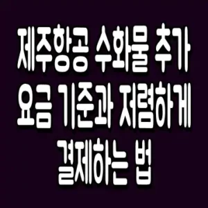 제주항공 수화물 추가 요금 기준과 저렴하게 결제하는 법