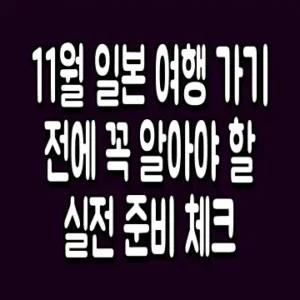 11월 일본 여행 가기 전에 꼭 알아야 할 실전 준비 체크