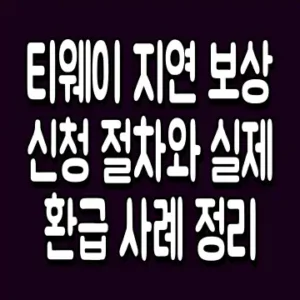 티웨이 지연 보상 신청 절차와 실제 환급 사례 정리