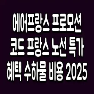 에어프랑스 프로모션 코드 프랑스 노선 특가 혜택 수하물 비용 2025