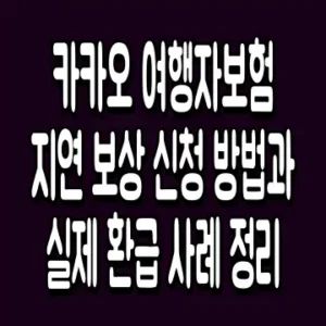 카카오 여행자보험 지연 보상 신청 방법과 실제 환급 사례 정리