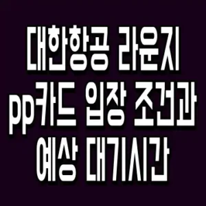 대한항공 라운지 pp카드 입장 조건과 예상 대기시간