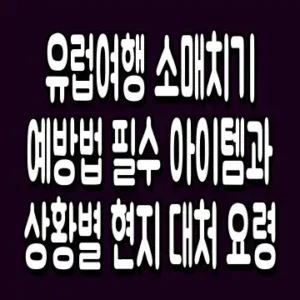 유럽여행 소매치기 예방법 필수 아이템과 상황별 현지 대처 요령
