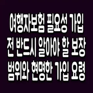 여행자보험 필요성 가입 전 반드시 알아야 할 보장 범위와 현명한 가입 요령