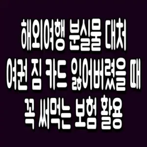 해외여행 분실물 대처 여권 짐 카드 잃어버렸을 때 꼭 써먹는 보험 활용