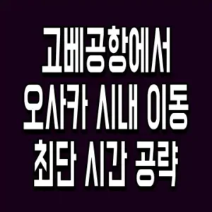 여권 사진 출력 방법 규격 맞추는 초간단 체크