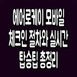 에어로케이 모바일 체크인 절차와 실시간 탑승팁 총정리