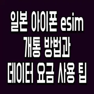 일본 아이폰 esim 개통 방법과 데이터 요금 사용 팁