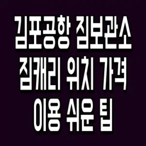 김포공항 짐보관소 짐캐리 위치 가격 이용 쉬운 팁