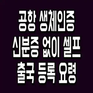 공항 생체인증 신분증 없이 셀프출국 등록 요령