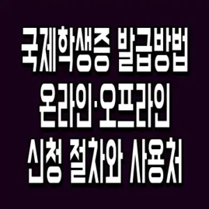 국제학생증 발급방법 온라인·오프라인 신청 절차와 사용처