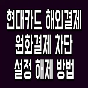 현대카드 해외결제 원화결제 차단 설정 해제 방법