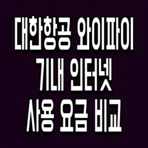 대한항공 와이파이 기내 인터넷 사용 요금 비교
