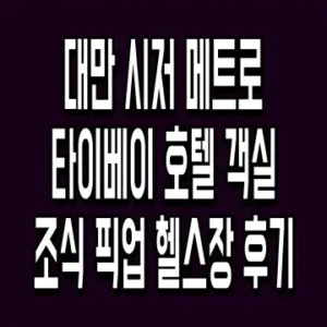 대만 시저 메트로 타이베이 호텔 객실 조식 픽업 헬스장 후기