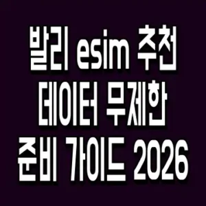 발리 esim 추천 데이터 무제한 준비 가이드 2026
